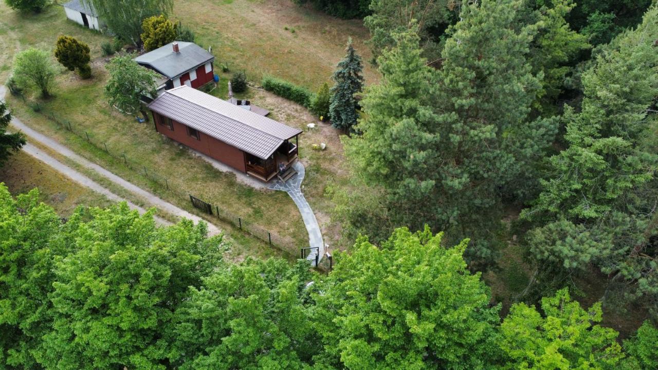 Tiny House Am Wald Appartement Krina Buitenkant foto